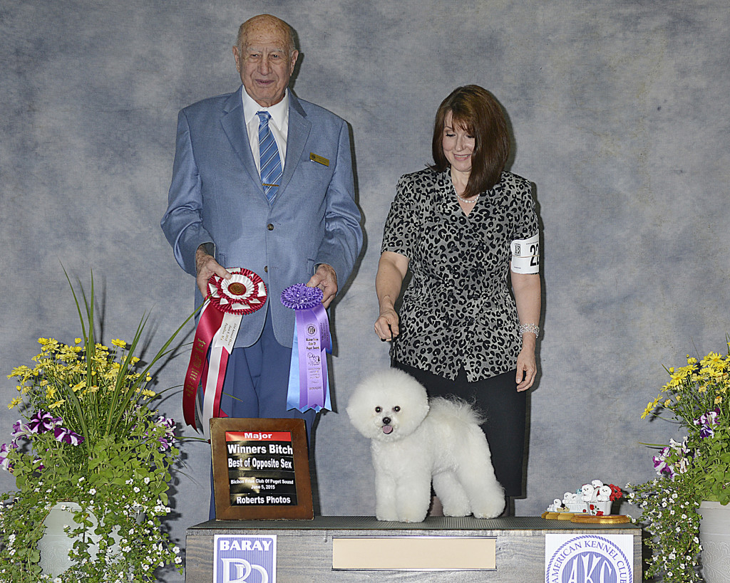 Winning a 5 point major at local specialty show.