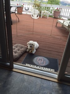 Hanging out on the deck